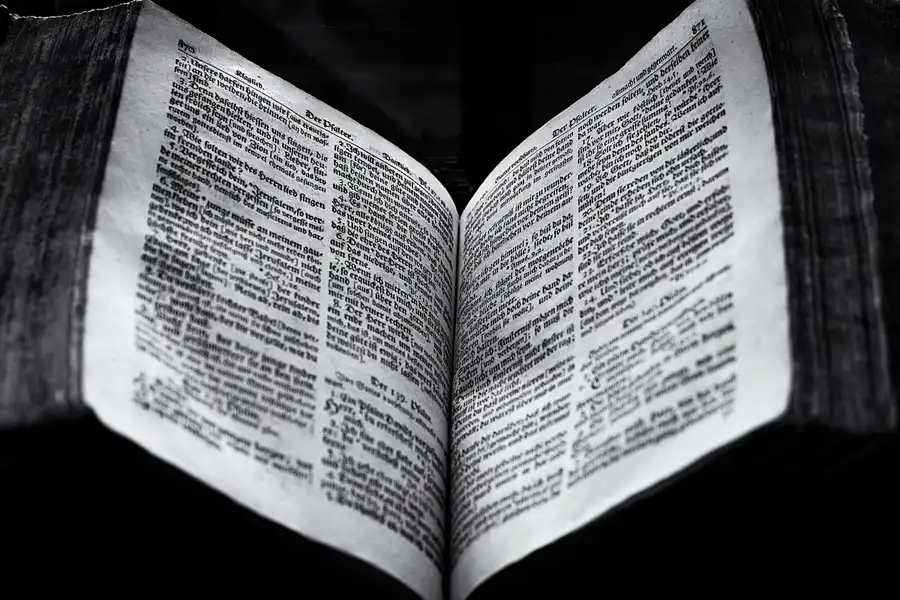 045 | 2025 | Kassel | Löwenburg | © carsten riede fotografie