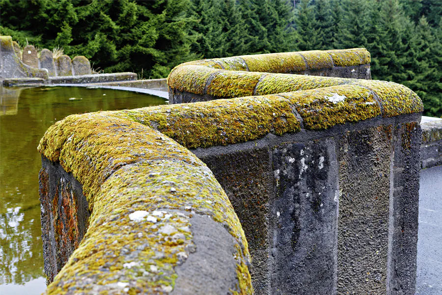 008 | 2025 | Kassel | Bergpark Wilhelmshöhe | © carsten riede fotografie
