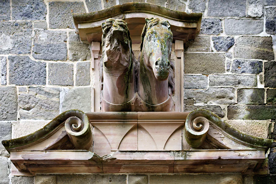 015 | 2025 | Kassel | Löwenburg | © carsten riede fotografie