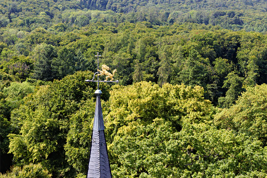 050 | 2025 | Kassel | Blick von der Löwenburg | © carsten riede fotografie