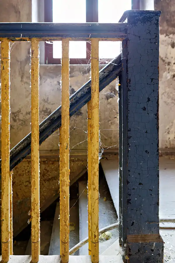 007 | 2025 | Görlitz | Brauner Hirsch | © carsten riede fotografie