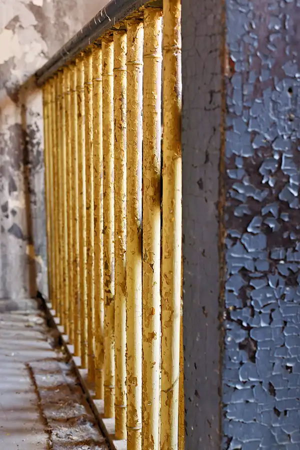 008 | 2025 | Görlitz | Brauner Hirsch | © carsten riede fotografie