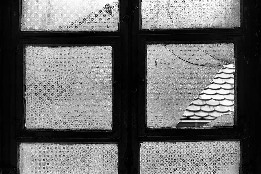 011 | 2025 | Görlitz | Brauner Hirsch | © carsten riede fotografie