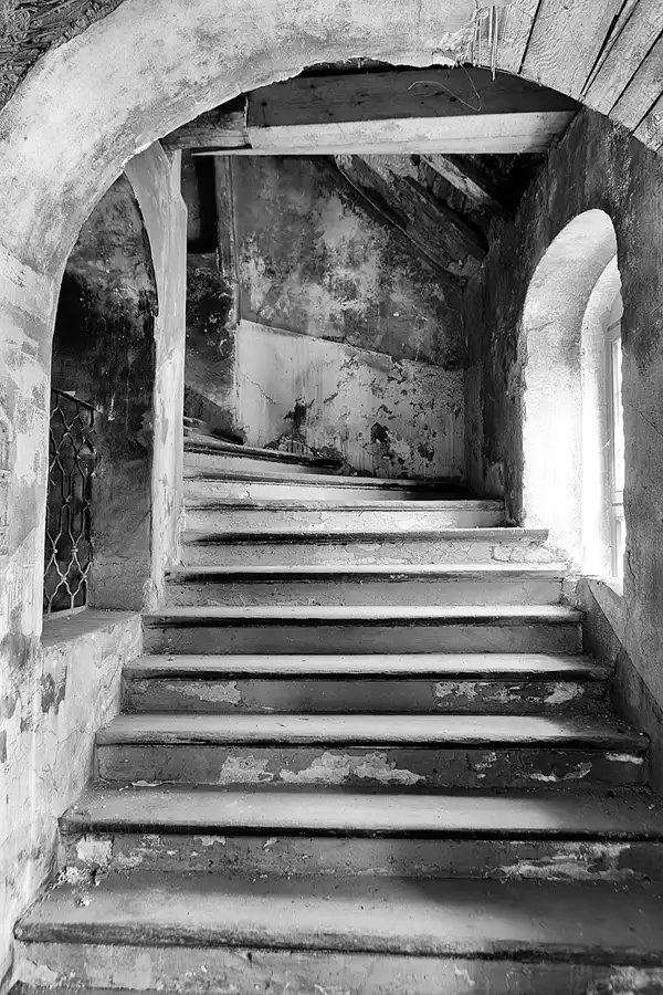 016 | 2025 | Görlitz | Brauner Hirsch | © carsten riede fotografie