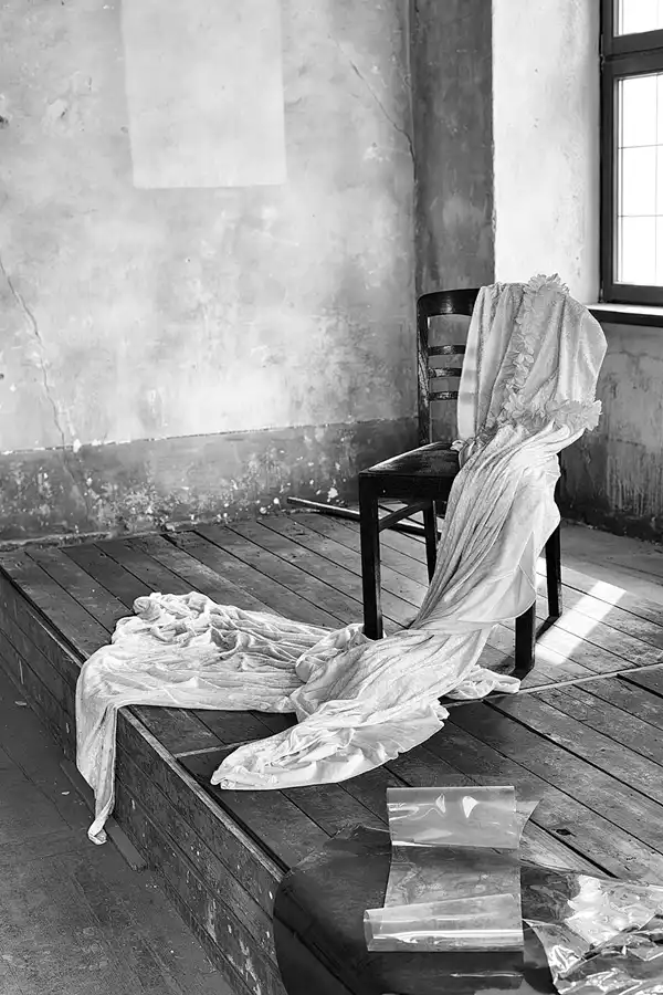 020 | 2025 | Görlitz | Brauner Hirsch | © carsten riede fotografie