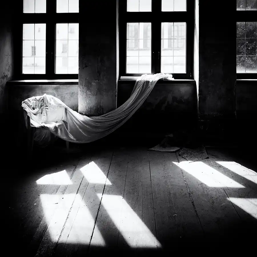 021 | 2025 | Görlitz | Brauner Hirsch | © carsten riede fotografie