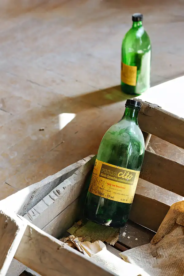 025 | 2025 | Görlitz | Brauner Hirsch | © carsten riede fotografie