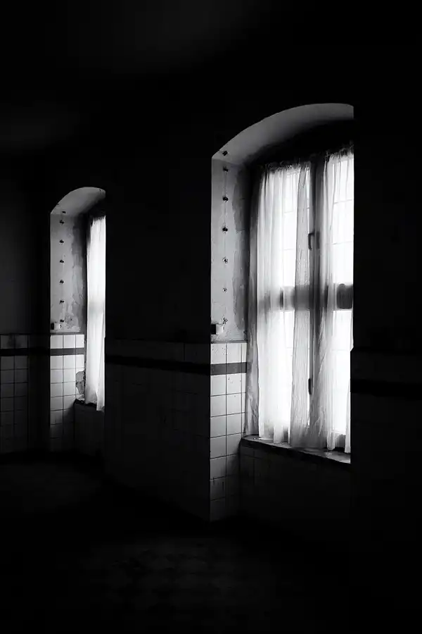 026 | 2025 | Görlitz | Brauner Hirsch | © carsten riede fotografie