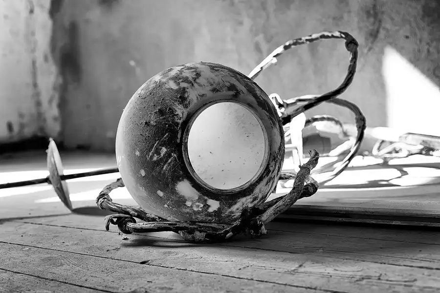 029 | 2025 | Görlitz | Brauner Hirsch | © carsten riede fotografie