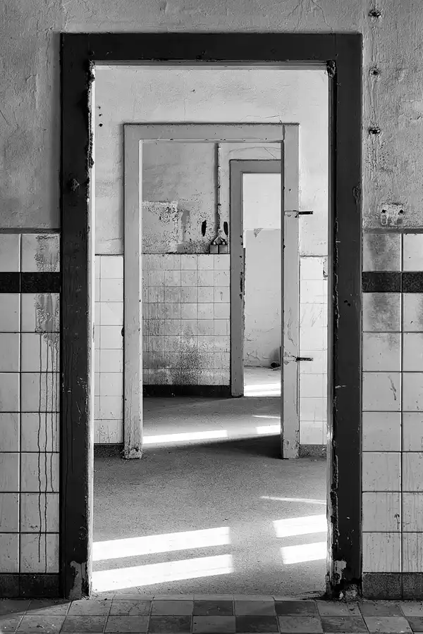 030 | 2025 | Görlitz | Brauner Hirsch | © carsten riede fotografie