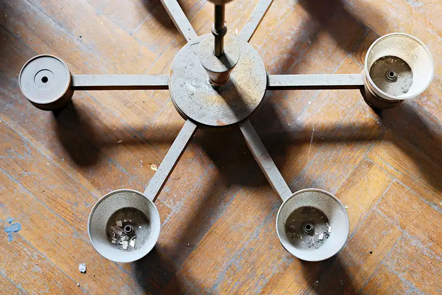 036 | 2025 | Görlitz | Brauner Hirsch | © carsten riede fotografie