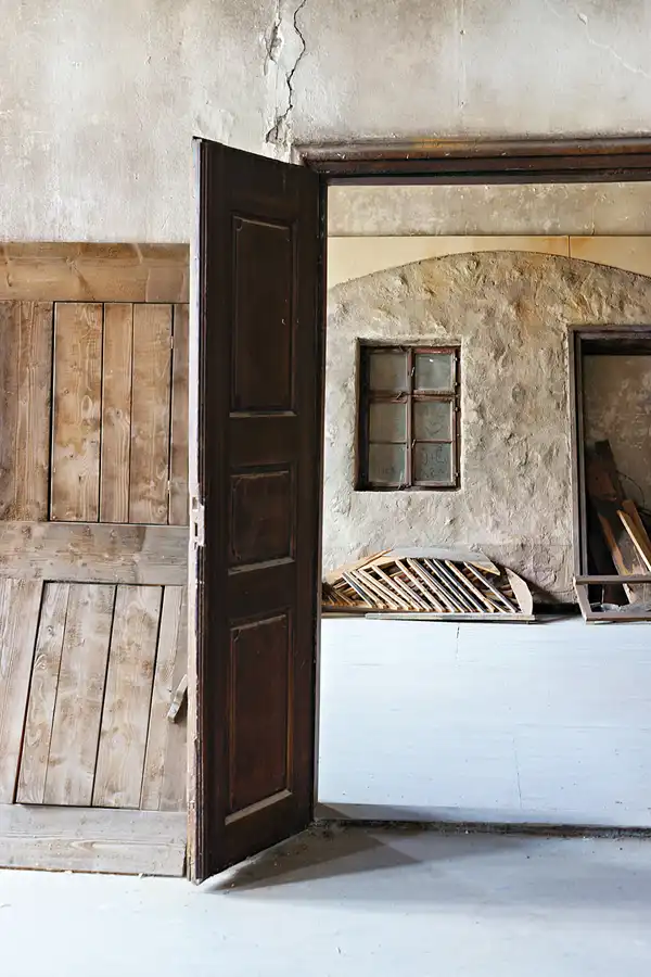 037 | 2025 | Görlitz | Brauner Hirsch | © carsten riede fotografie