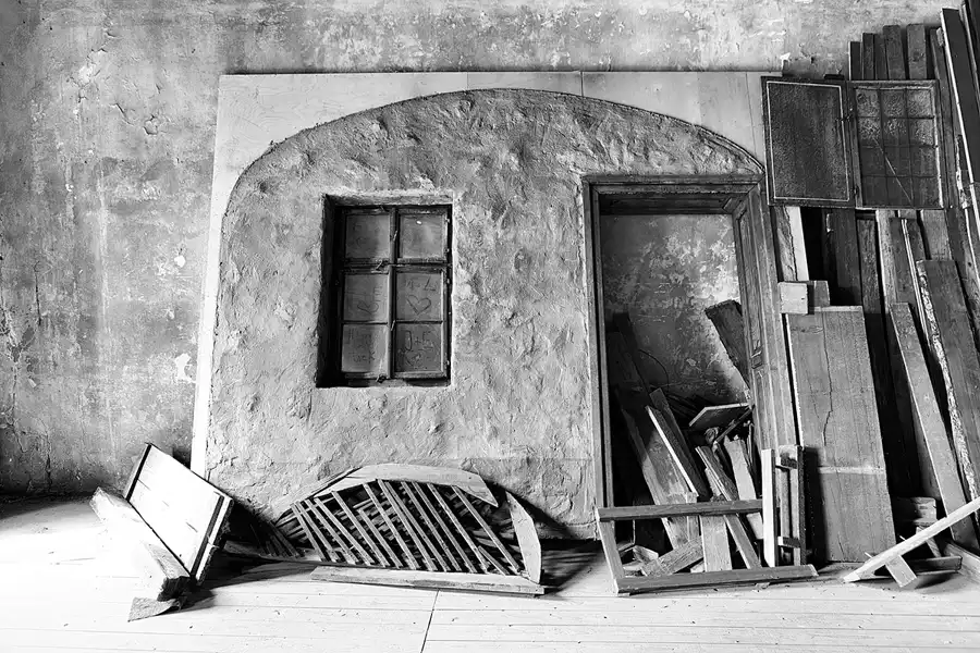 038 | 2025 | Görlitz | Brauner Hirsch | © carsten riede fotografie