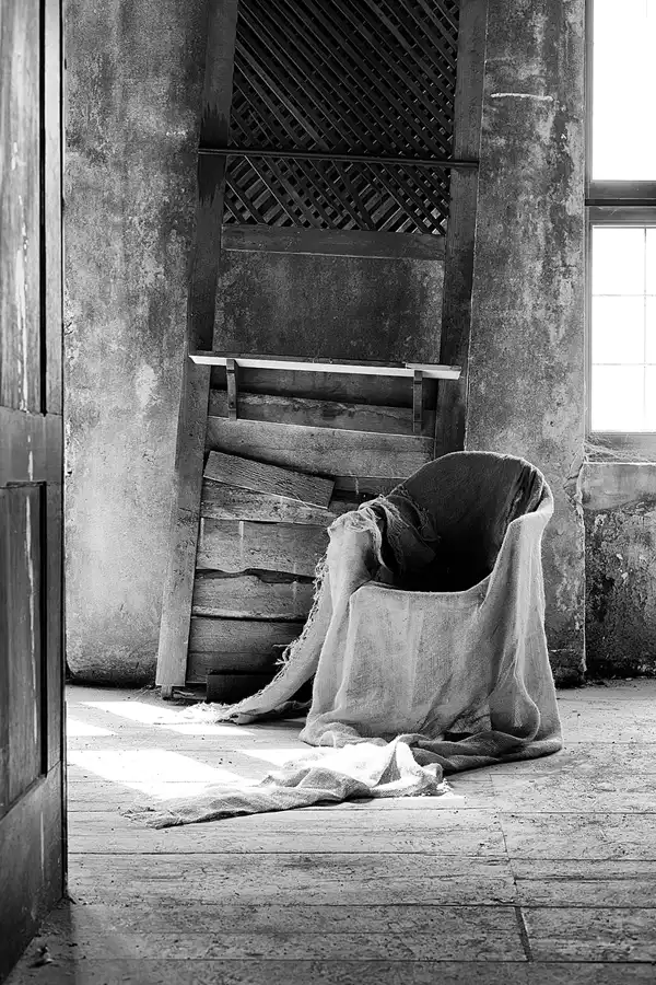 039 | 2025 | Görlitz | Brauner Hirsch | © carsten riede fotografie