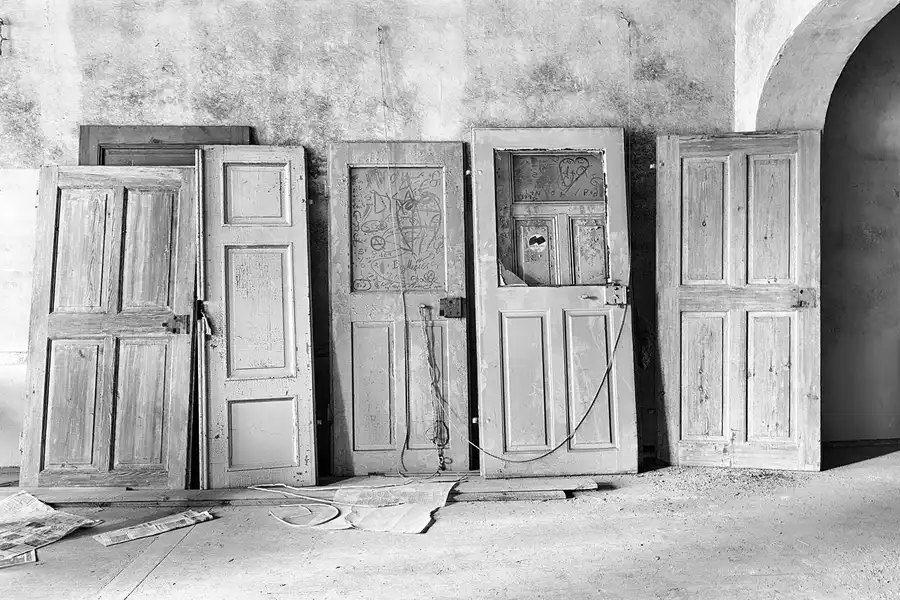 042 | 2025 | Görlitz | Brauner Hirsch | © carsten riede fotografie