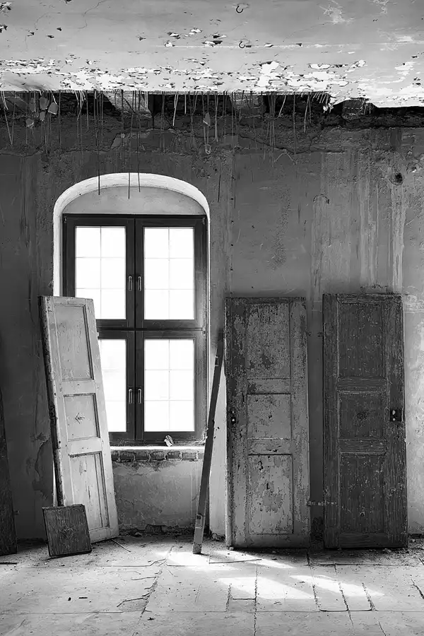 048 | 2025 | Görlitz | Brauner Hirsch | © carsten riede fotografie