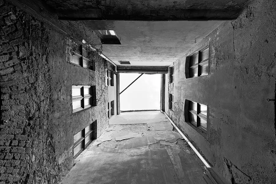 049 | 2025 | Görlitz | Brauner Hirsch | © carsten riede fotografie