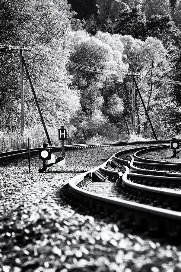 132 | 2025 | Jöhstadt | Haltepunkt Ausstellungs- und Fahrzeughalle – Pressnitztalbahn | © carsten riede fotografie