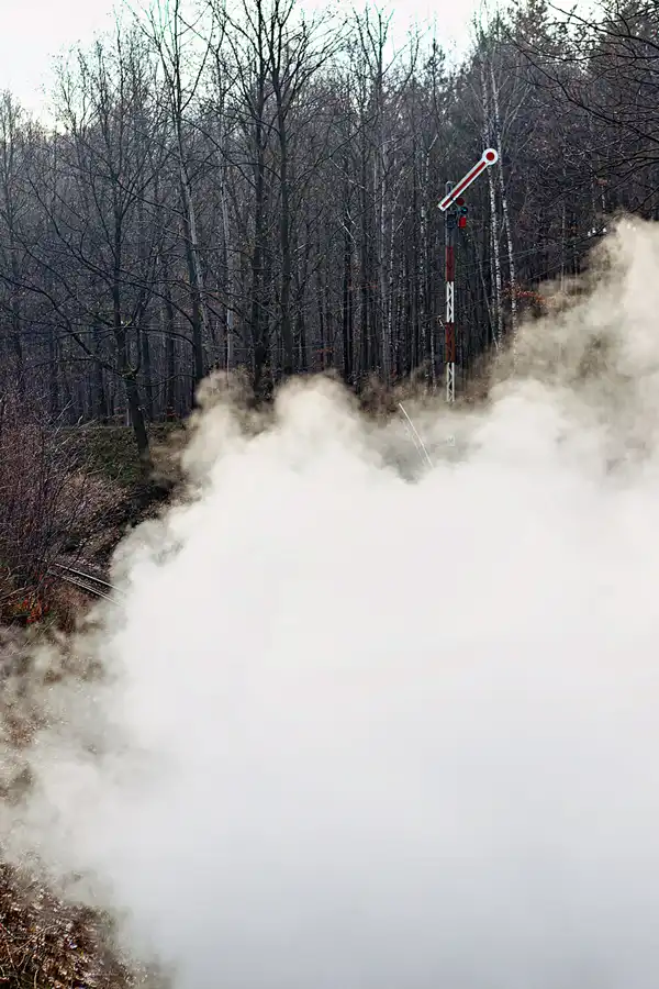 137 | 2025 | Bertsdorf | Zittauer Schmalspurbahn | © carsten riede fotografie