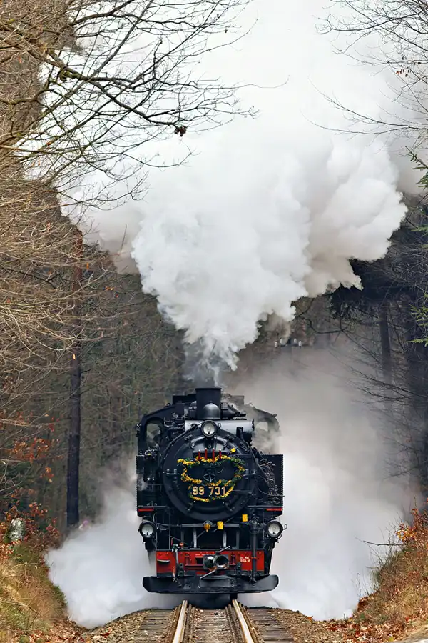 153 | 2025 | Jonsdorf | Zittauer Schmalspurbahn – Kurort Jonsdorf Haltestelle | © carsten riede fotografie