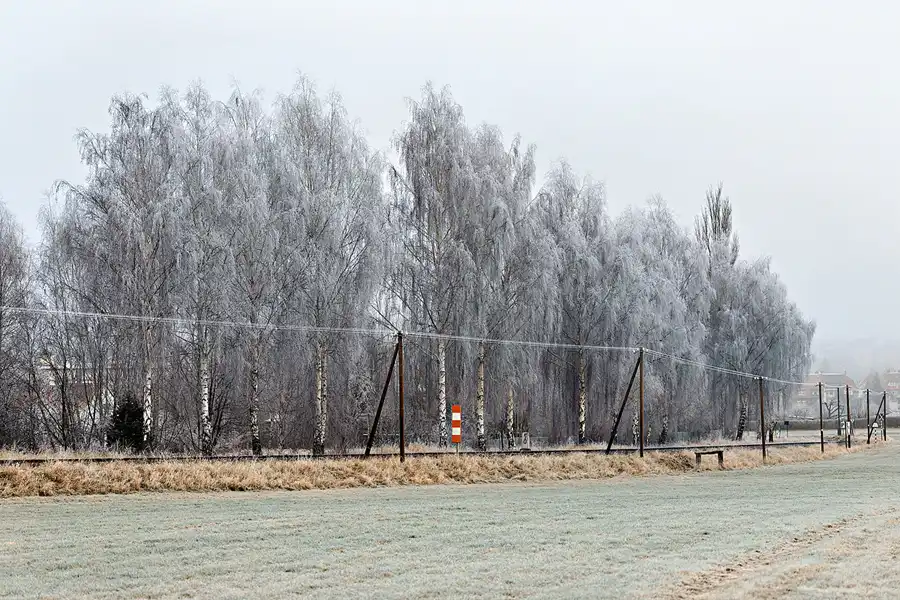 159 | 2025 | Olbersdorf | Zittauer Schmalspurbahn | © carsten riede fotografie