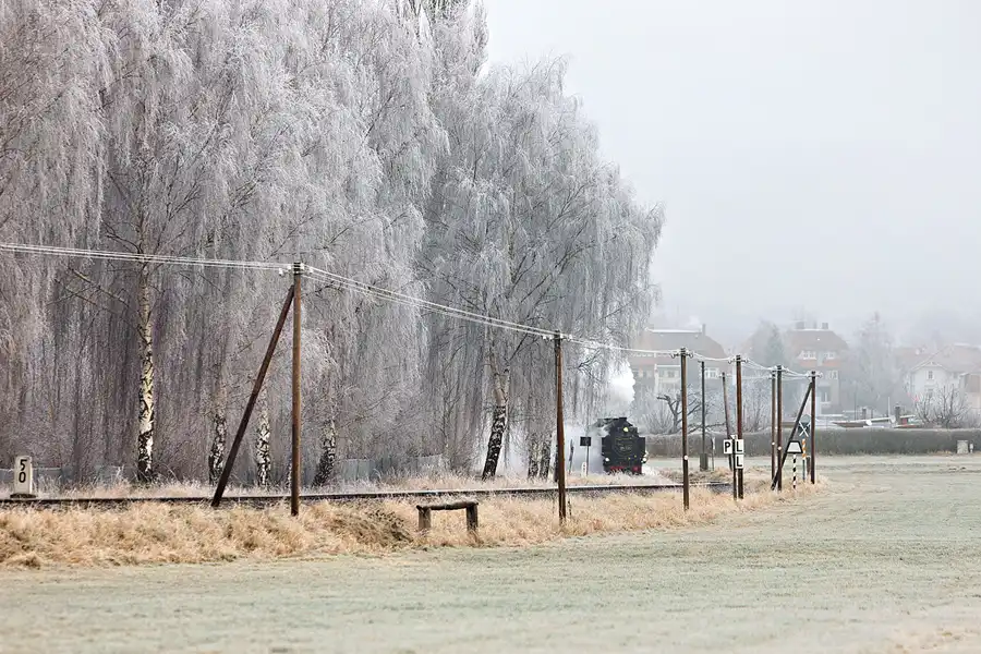 162 | 2025 | Olbersdorf | Zittauer Schmalspurbahn | © carsten riede fotografie