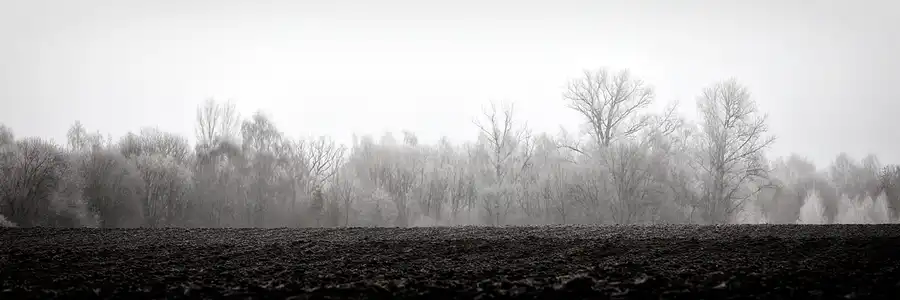 169 | 2025 | Olbersdorf | Zittauer Schmalspurbahn | © carsten riede fotografie
