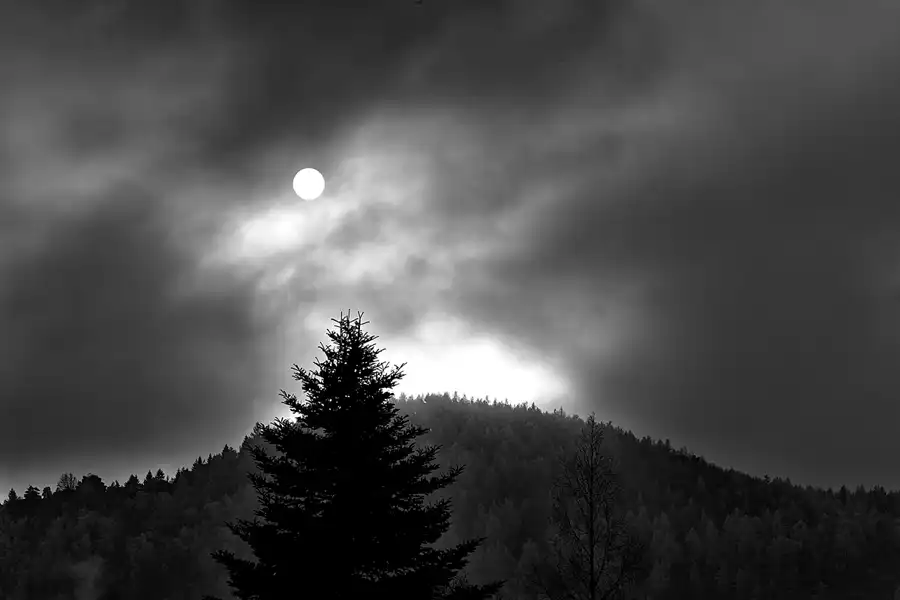 189 | 2025 | Oybin | © carsten riede fotografie