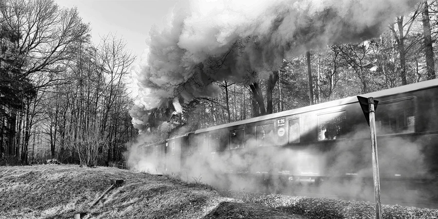 095 | 2025 | Bertsdorf | Zittauer Schmalspurbahn – Bahnhof Bertsdorf | © carsten riede fotografie