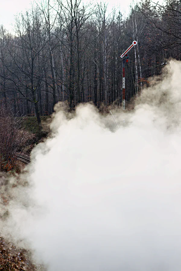 137 | 2025 | Bertsdorf | Zittauer Schmalspurbahn | © carsten riede fotografie