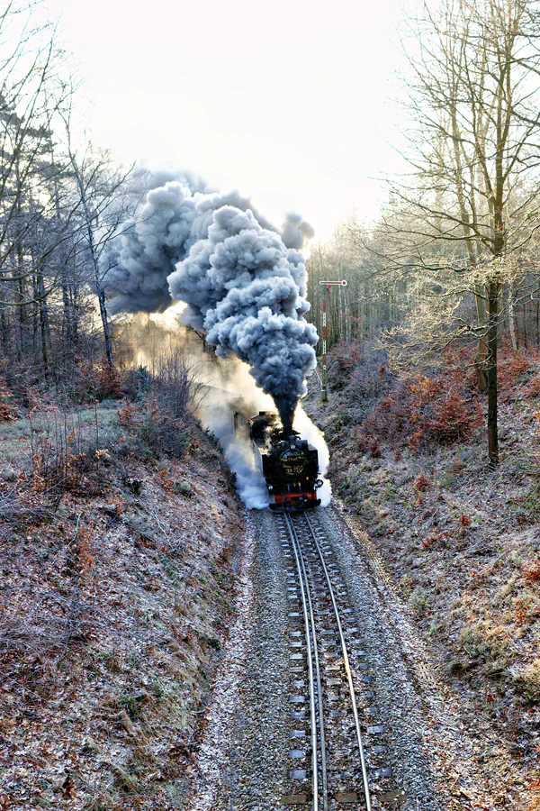 138 | 2025 | Bertsdorf | Zittauer Schmalspurbahn | © carsten riede fotografie
