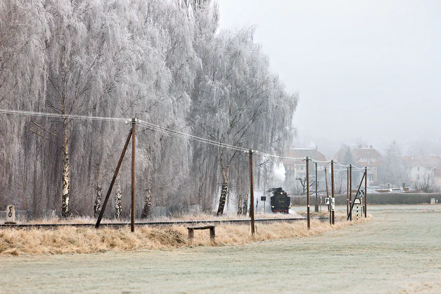 162 | 2025 | Olbersdorf | Zittauer Schmalspurbahn | © carsten riede fotografie