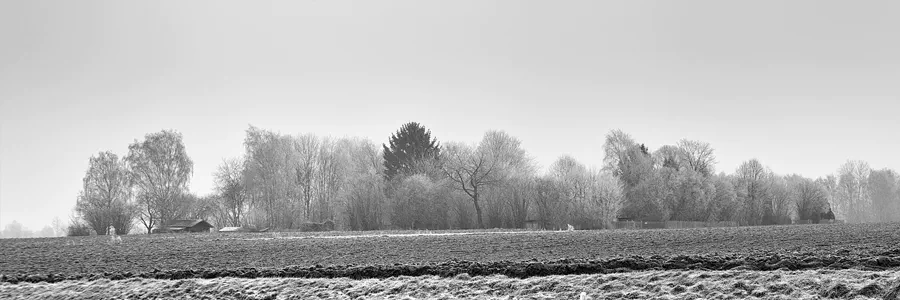 168 | 2025 | Olbersdorf | Zittauer Schmalspurbahn | © carsten riede fotografie