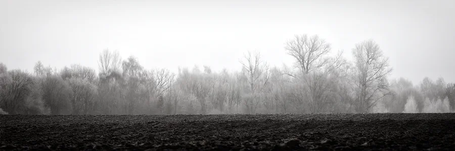 169 | 2025 | Olbersdorf | Zittauer Schmalspurbahn | © carsten riede fotografie