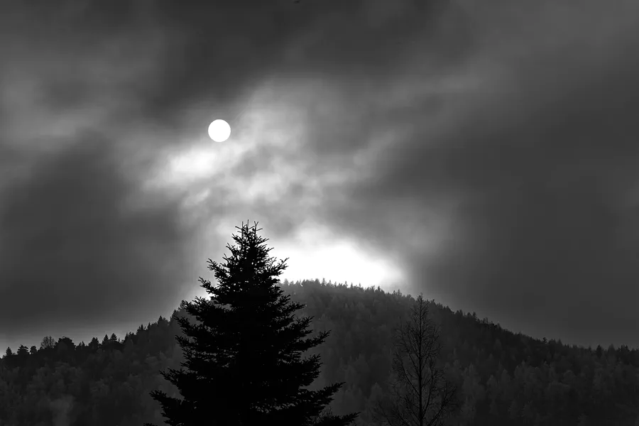 189 | 2025 | Oybin | © carsten riede fotografie