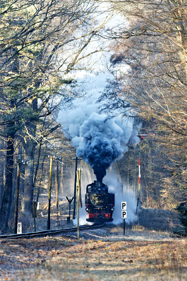 203 | 2025 | Oybin | Zittauer Schmalspurbahn – Bahnhof Oybin Niederdorf | © carsten riede fotografie