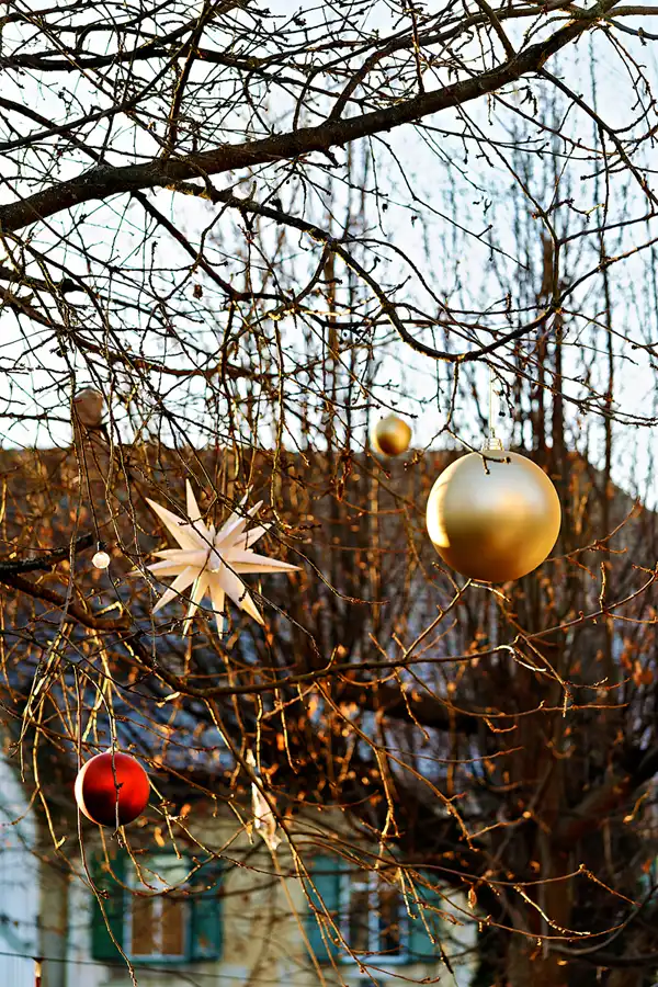 089 | 2025 | Grossschönau | © carsten riede fotografie