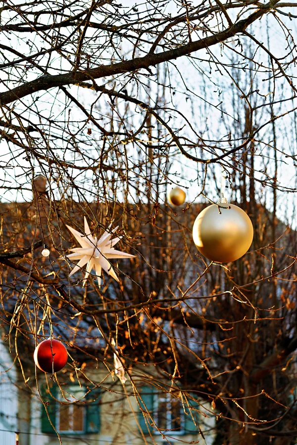 089 | 2025 | Grossschönau | © carsten riede fotografie
