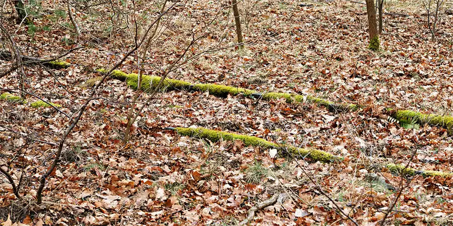 087 | 2026 | Kummersdorf-Gut | Heeresversuchsstelle Kummersdorf | © carsten riede fotografie