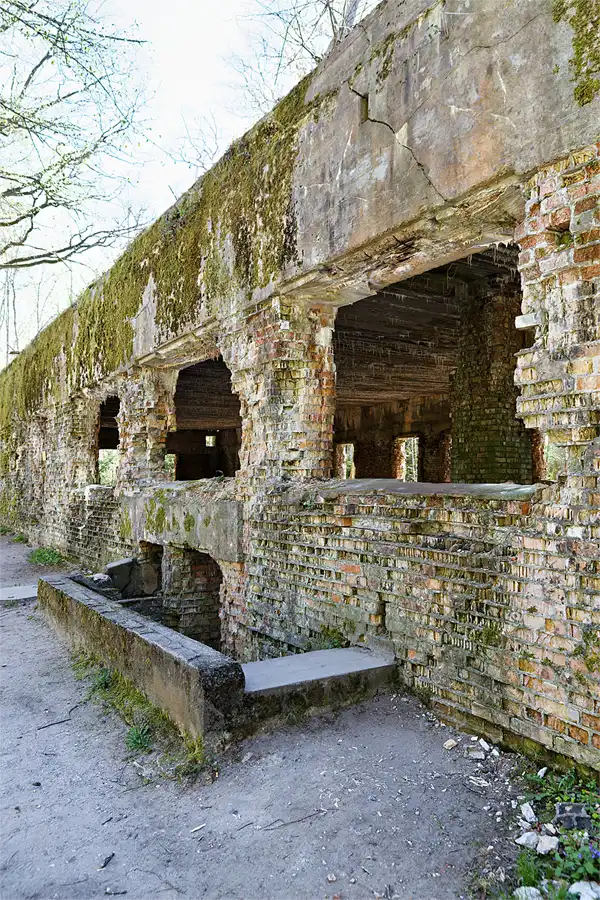 019 | 2026 | Gierłoż | Führerhauptquartier Wolfsschanze | © carsten riede fotografie