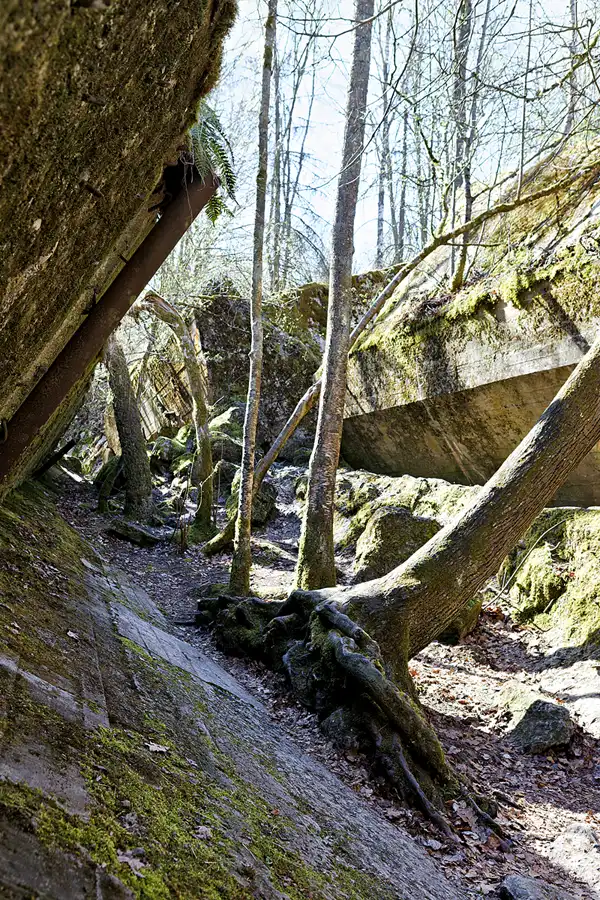 026 | 2026 | Gierłoż | Führerhauptquartier Wolfsschanze | © carsten riede fotografie