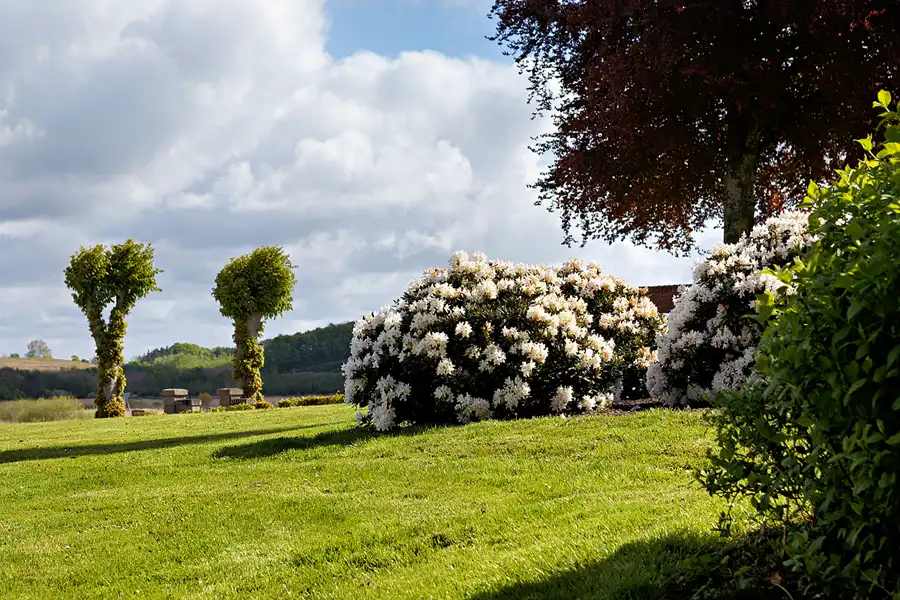 080 | 2026 | Fåborg Sogn | © carsten riede fotografie