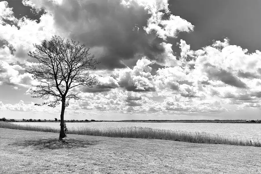 116 | 2026 | Nyborg | © carsten riede fotografie