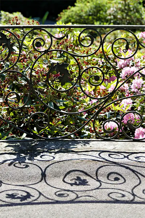 037 | 2026 | Insel Mainau | © carsten riede fotografie