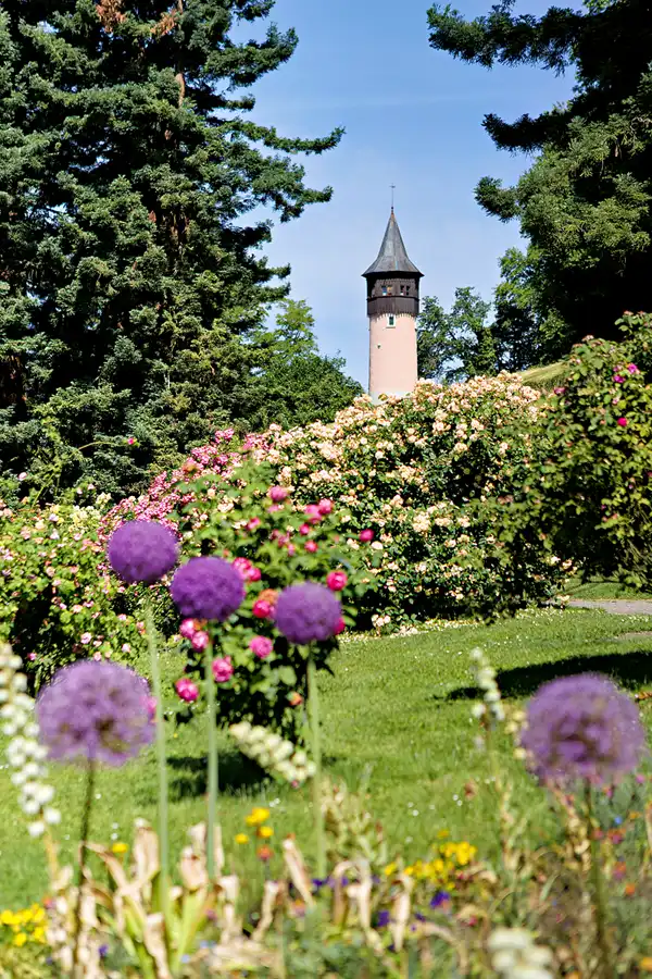045 | 2026 | Insel Mainau | © carsten riede fotografie