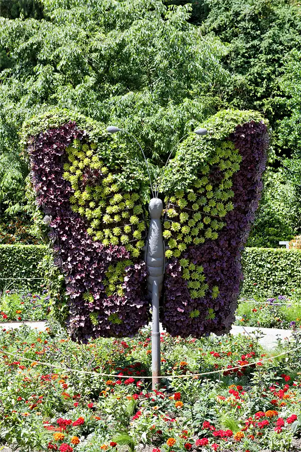 055 | 2026 | Insel Mainau | © carsten riede fotografie