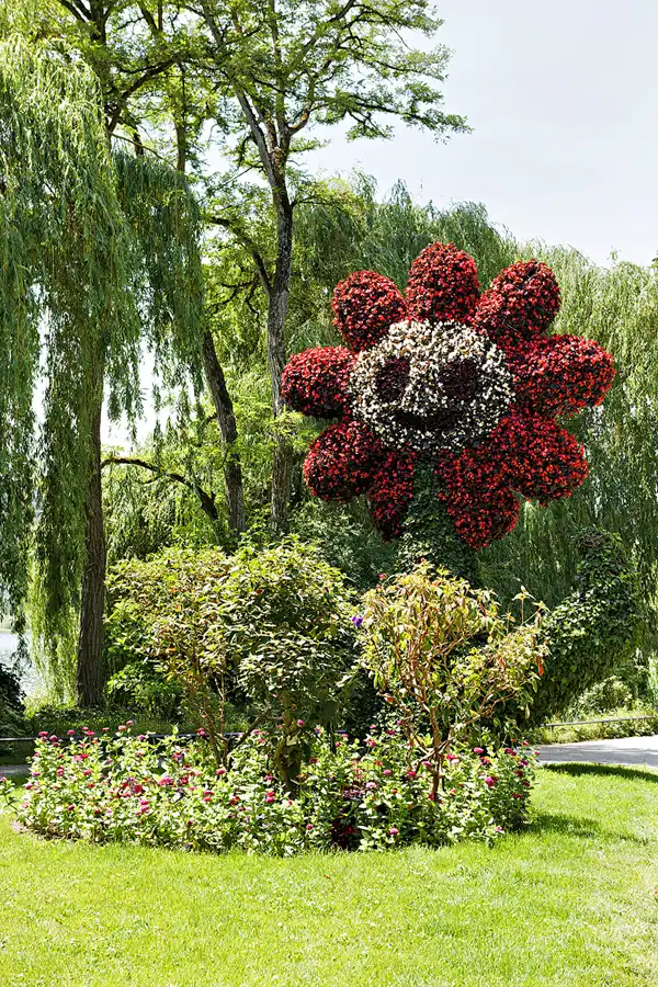 056 | 2026 | Insel Mainau | © carsten riede fotografie