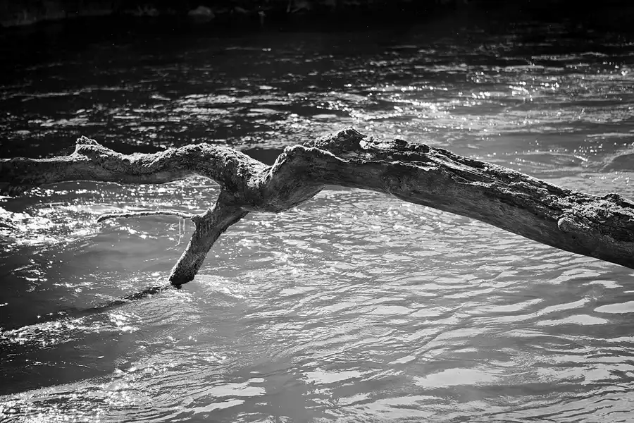 005 | 2026 | Schaffhausen | Rheinfall | © carsten riede fotografie