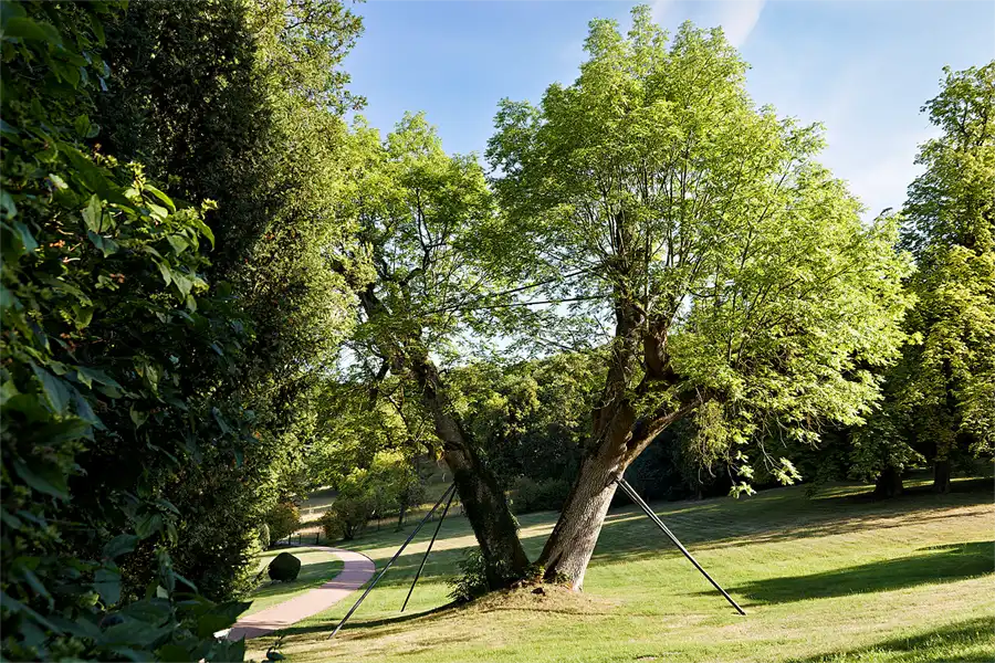 022 | 2026 | Altenstein | Schlosspark | © carsten riede fotografie