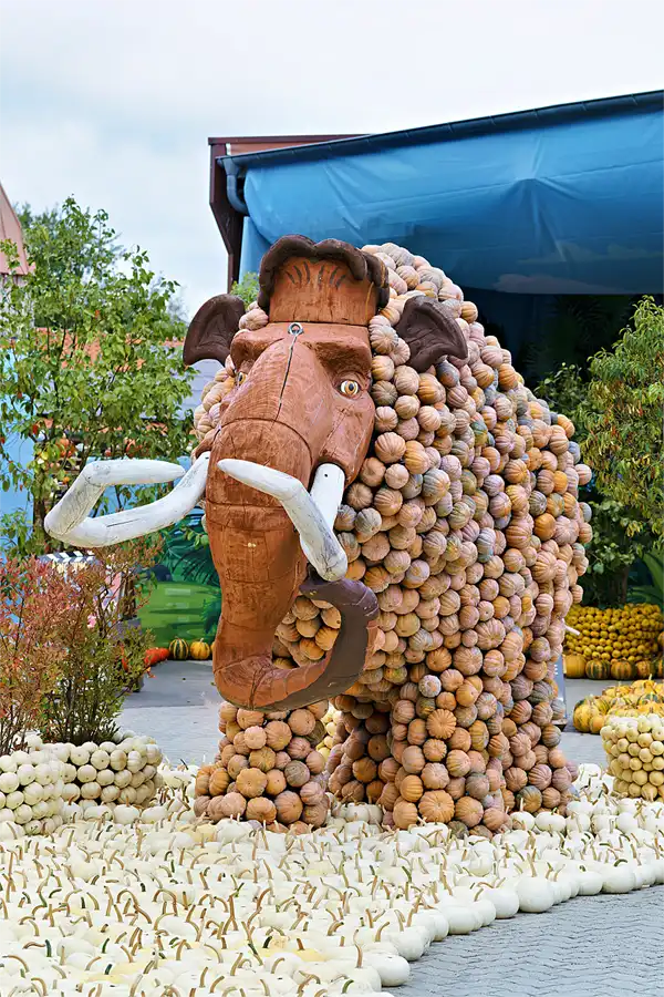 041 | 2026 | Beelitz GT Klaistow | Kürbisausstellung | © carsten riede fotografie